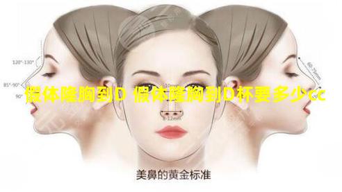 假体隆胸到D 假体隆胸到D杯要多少cc